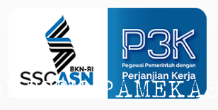 HASIL SELEKSI PENERIMAAN PEGAWAI PEMERINTAH DENGAN PERJANJIAN KERJA (PPPK) TAHAP I TAHUN 2019 PEMKAB PAMEKASAN